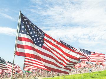 外汇基本面分析:利率变动对汇率的影响