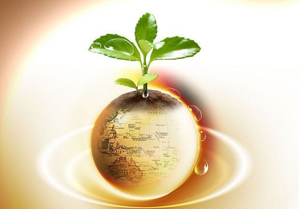 IMF:下调瑞郎在第一季度全球外汇储备中的占比